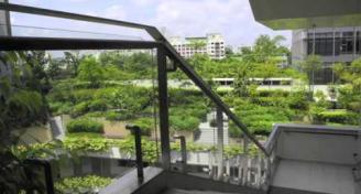 Overview of Singapore Green Infrastructure