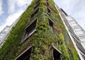  Patrick Blanc Vertical garden