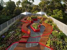 The Burnley Living Roof. Image: Hassell green-roof-garden