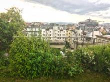 Rooftop garden in Vienna studied in the research (Image: Living Roofs) Rooftop garden in Vienna studied in the research (Image: Living Roofs)
