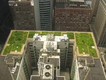 What Is Green Infrastructure? green infrastructure