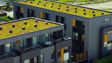 green-roof-market-UK